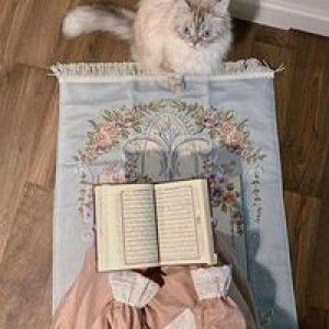 Nabilah profile icon