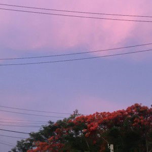 panisa rodsawad profile icon