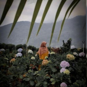 Meylina Ningtyas profile icon