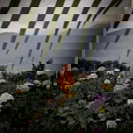 Meylina Ningtyas profile icon