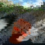 Juliet Oscar Bravo profile icon