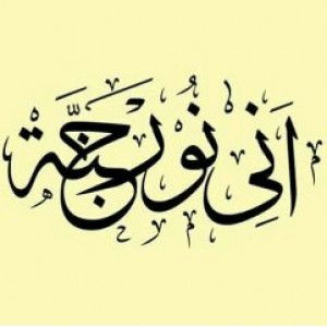 Ani Nur Jannah profile icon