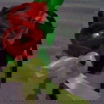 Erlina budianto profile icon