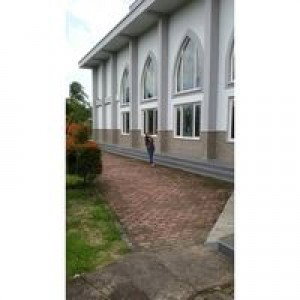 Sesiliafeny profile icon