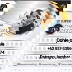 Ophie Ophie profile icon