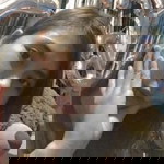 Armie Argoso Donato profile icon