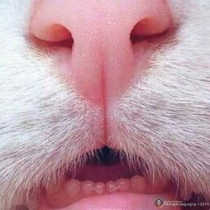 Ad dujaa profile icon