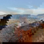 หมวก ฟาง profile icon