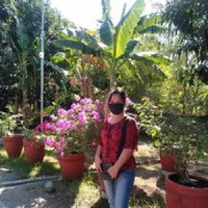 Baby Apple Concepcion profile icon