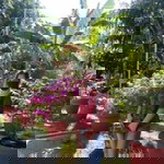 Baby Apple Concepcion profile icon