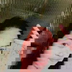 Rowena De Asis profile icon