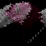 anisa amalia profile icon