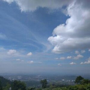 Oktaviani Asri profile icon