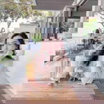 Thepthida Layungcanon profile icon