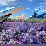 ทะเล หมอก profile icon