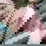 Ridisa Rias profile icon