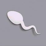 Doomed Broke profile icon