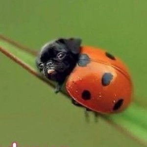 ma. catherine belonio profile icon