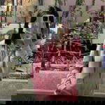 ฟอส ฟอรัส profile icon