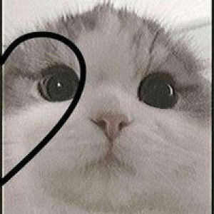 Ilada Singkhorn profile icon