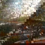 Rulyn Velasco profile icon