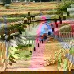 Lyana Ismail profile icon