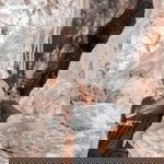 หวาน อรวรรว จันทร์จิตร profile icon