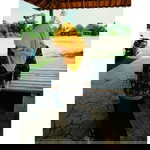 Suhaida Salahudin profile icon