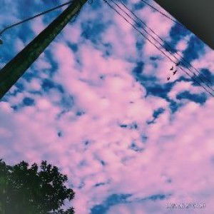 Mialudita Ratri profile icon