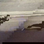 Yulius Neta profile icon