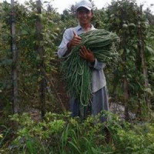 Binar Legianto Shine profile icon