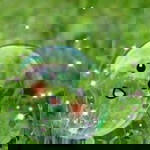 Siti Hani Mulyanah profile icon