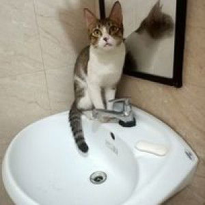 Moon De Leon Llana profile icon