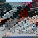 Tai Somruedee Kt profile icon