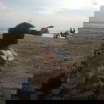 Mugi Lestari profile icon