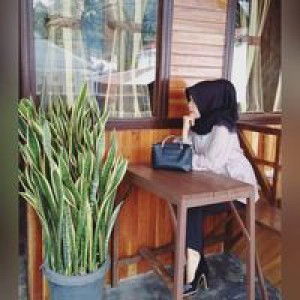 Shaqeena Nayyara profile icon