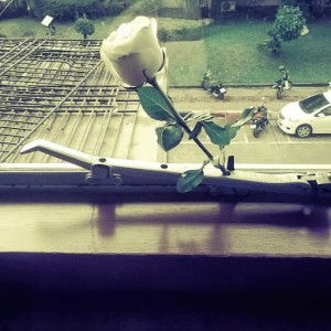 kanokwan onsongkrai profile icon