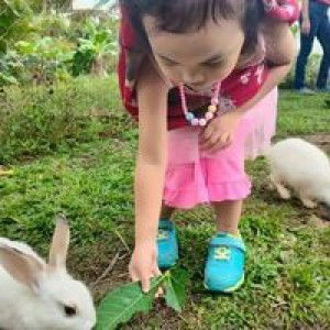 Harbie M Baja profile icon