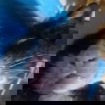 Arin Syahrina Zulfa profile icon