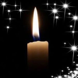 Lovely De Jesus Perey profile icon