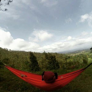 Nurse Dewi profile icon