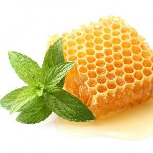 Honey Mint profile icon