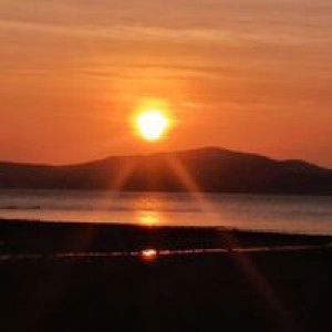 katesiri  pijan profile icon