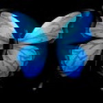 dwia yun profile icon