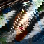 พรทิพย์ รัมมะพรต profile icon