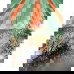 Dewi Susanti profile icon