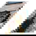 Cleoniey Enniey profile icon