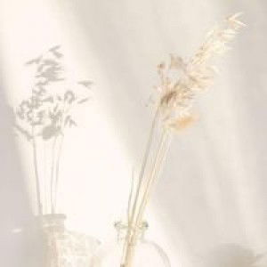 Azah Alias profile icon