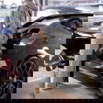 Baywudz Baywudz profile icon