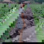 numfon zaza profile icon